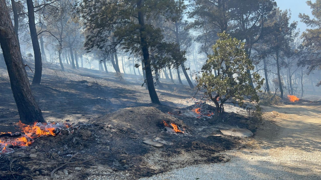 canakkale de bogaz duman altinda kaldi 18936986 8456 m