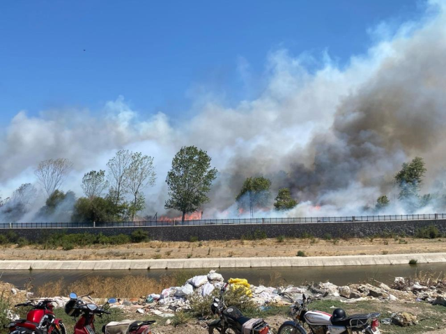 canakkale de orman yangini alevler hizla 18936136 7056 m