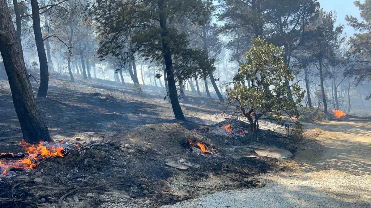 Çanakkale'de Yangın: Villalar Alevlere Teslim Oldu
