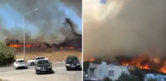 Çanakkale'deki yangında 47 kişi hastaneye kaldırıldı