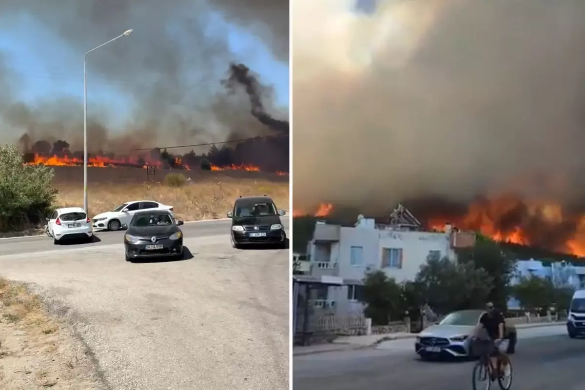 Çanakkale'deki yangında 47 kişi hastaneye kaldırıldı