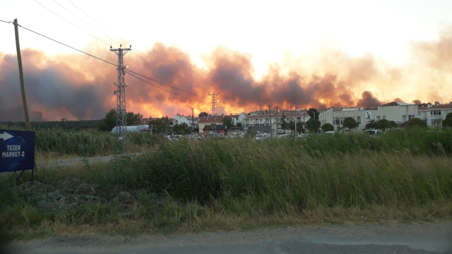 cigerlerimiz alev alev 4 sehrimizde orman yangini 18937681 5389 m