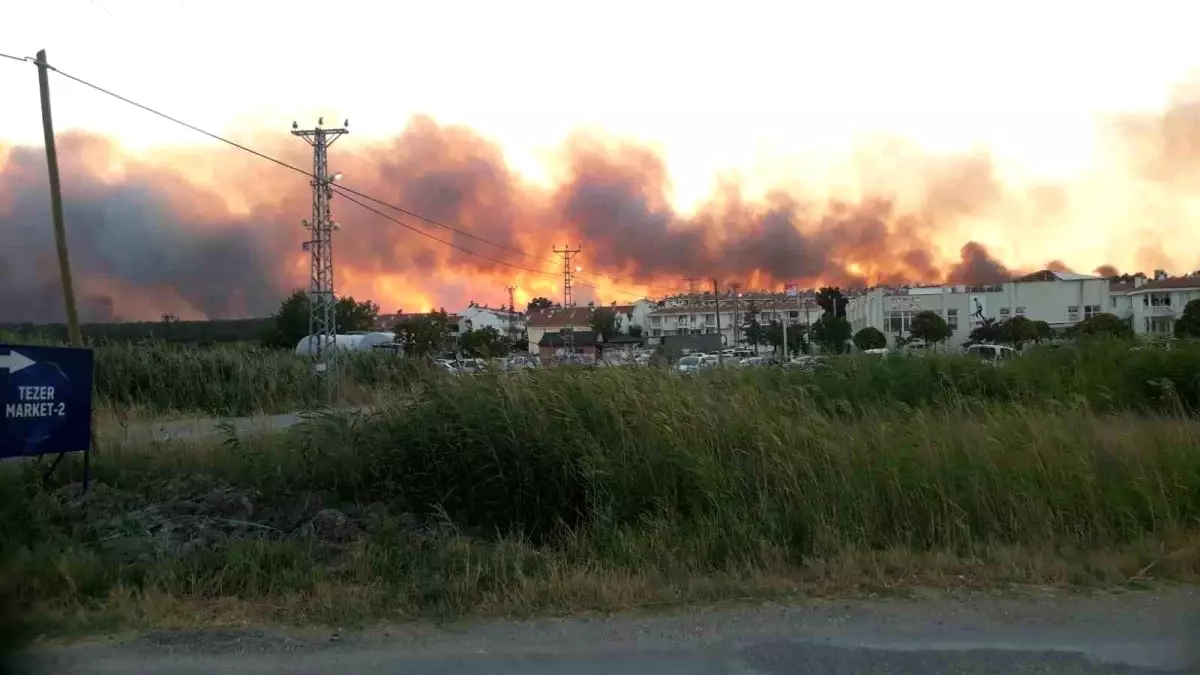 Edirne'de Tarladan Ormana Doğru İlerleyen Yangın