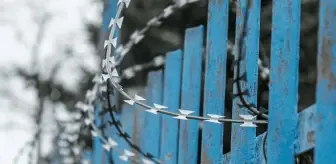 Ethereum geliştiricisinin gözaltı iddiası ortalığı karıştırdı