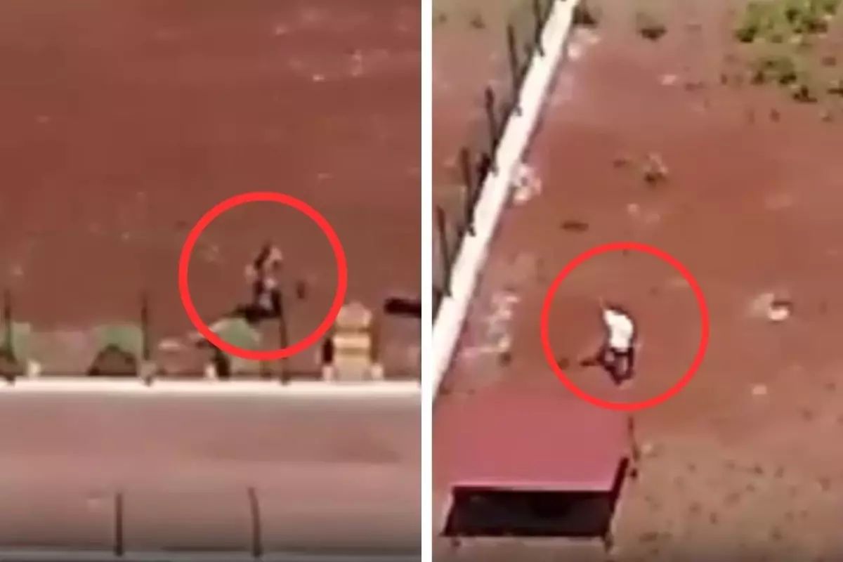 Kars'taki köpeklere şiddet görüntülerine jet soruşturma