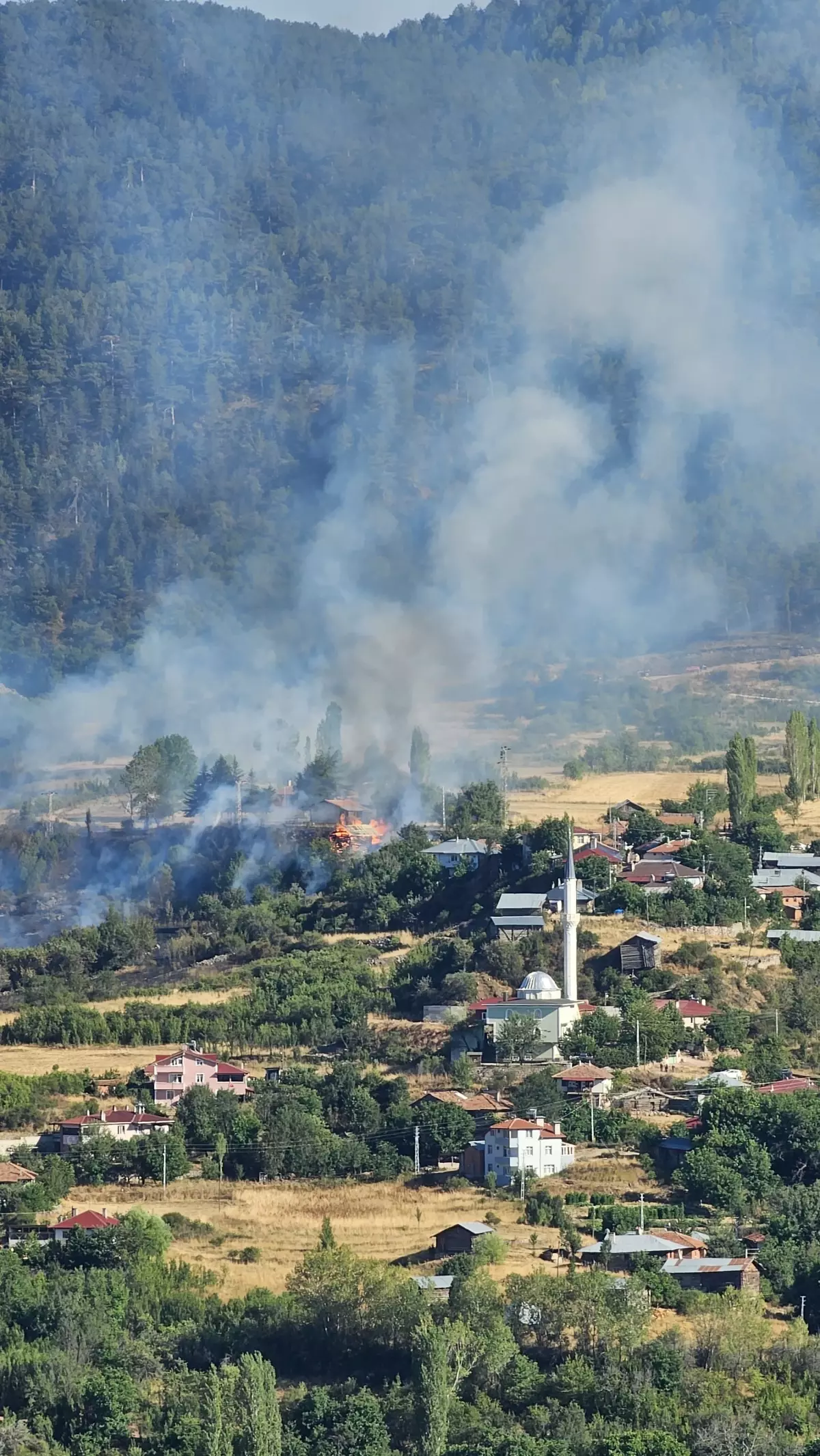 Kastamonu'da Yangın: 30 Dönüm Arazi ve Samanlık Kül Oldu