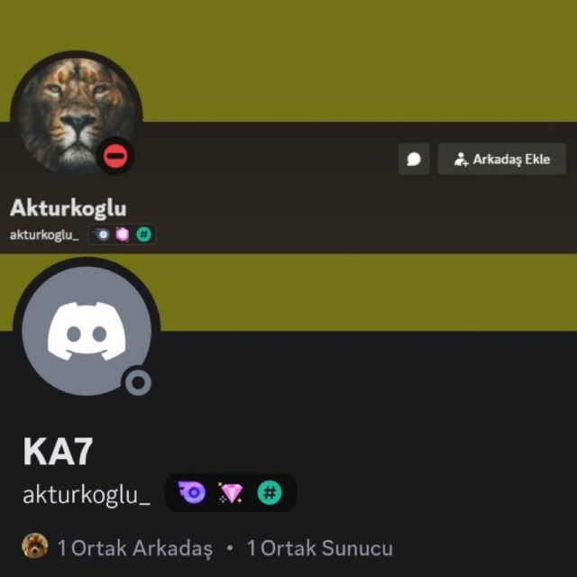 kerem akturkoglu aslan temali profilini sildi 18934761 4680 m