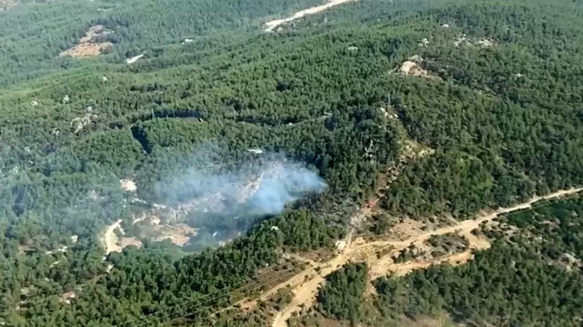 Muğla'nın Milas ilçesinde orman yangını kontrol altına alındı