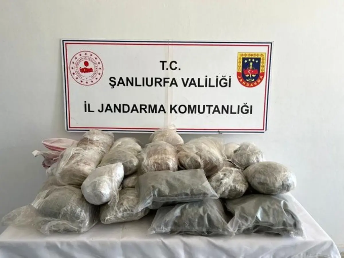 Şanlıurfa'da Jandarma Uyuşturucu Operasyonu: 26 Kilo Esrar Ele Geçirildi