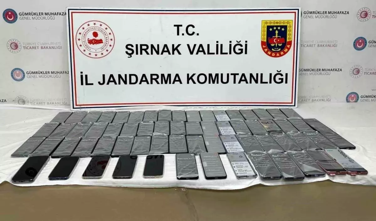 Şırnak'ta 32 Kaçakçılık Operasyonu: 11 Milyon TL Değerinde Malzeme Ele Geçirildi