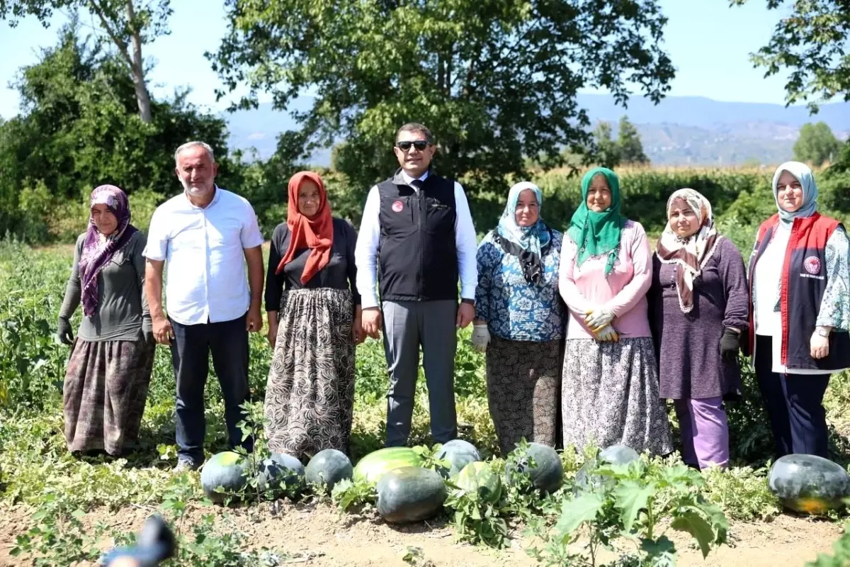 Düzce Valisi Aslan, Tarım Uygulama Tarlasını Ziyaret Etti