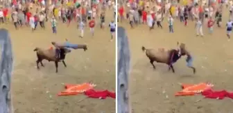 Boğa güreşi festivalinde matador aldığı boynuz darbesi ile feci şekilde can verdi
