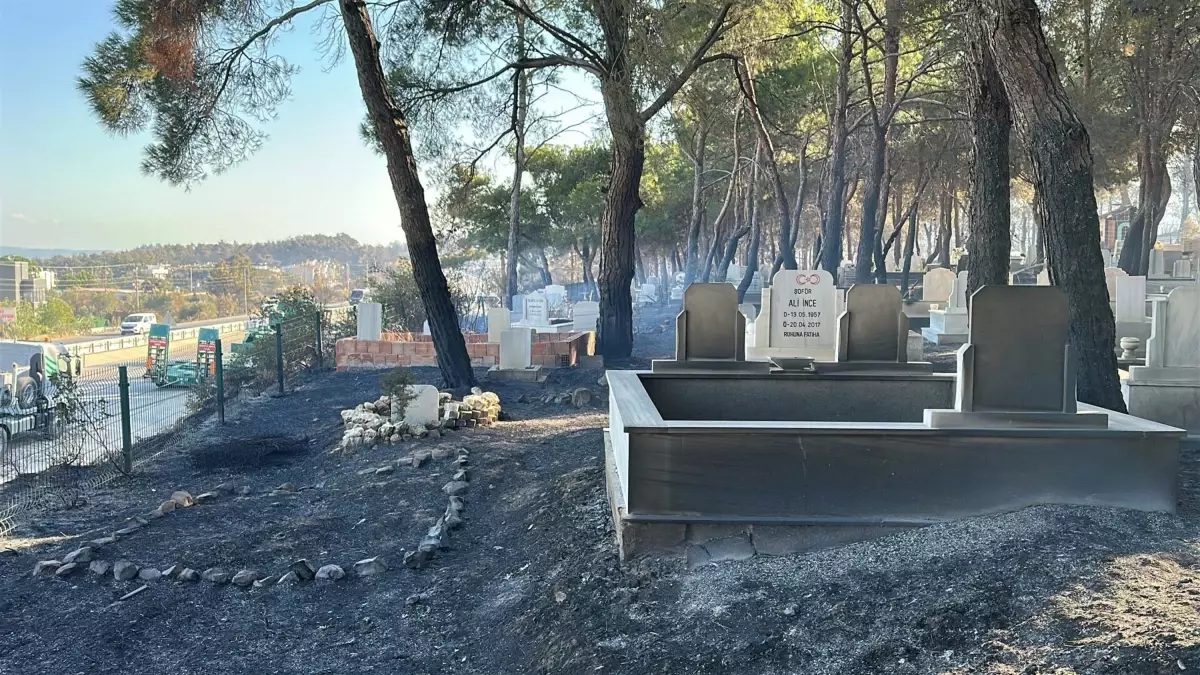 Çanakkale'de Yangın: Turgut Reis Tabyası ve Güzelyalı Mezarlığı Zarar Gördü