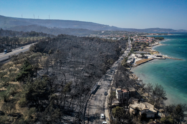canakkale merkez de dun baslayan orman yangini 18938866 9104 m