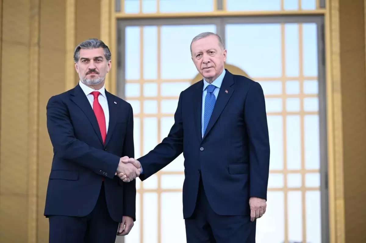 Cumhurbaşkanı Erdoğan, Gürcistan Cumhurbaşkanı Kavelaşvili'ni karşıladı