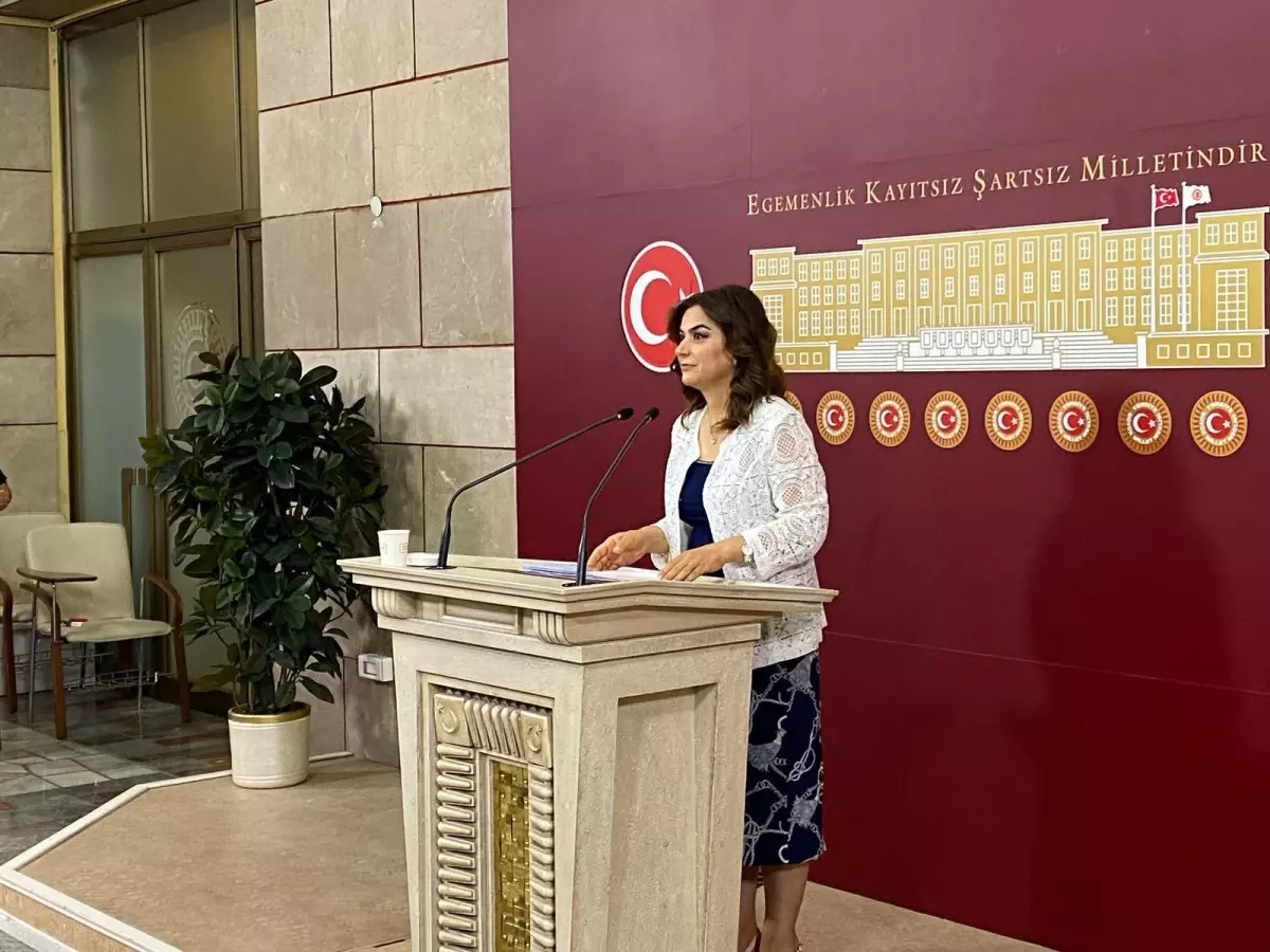 DEM Parti'den Barış Sürecine Destek Çağrısı