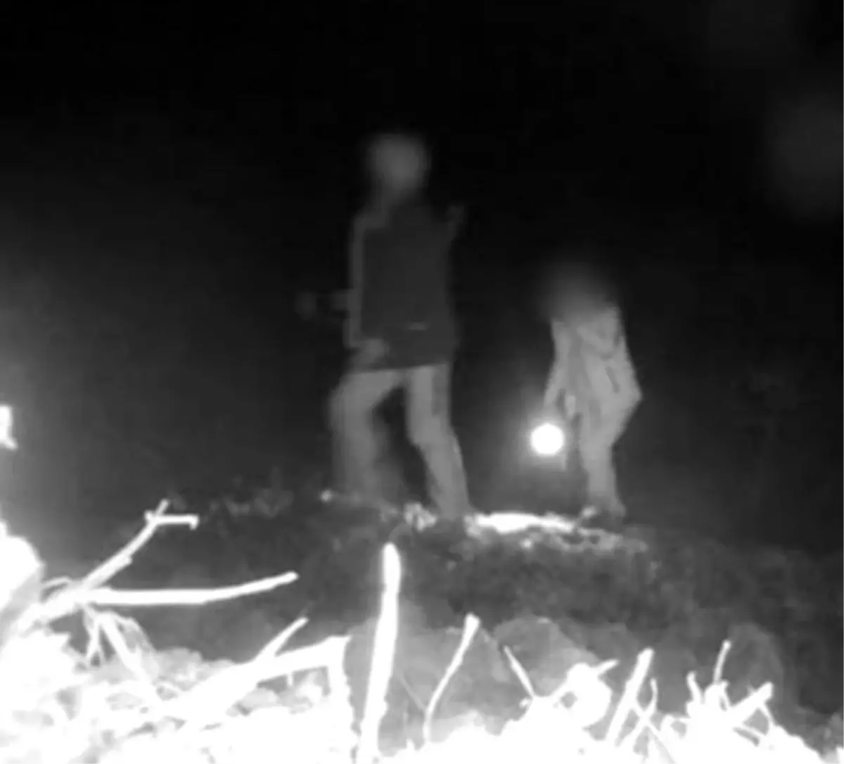 Denizli'de Yaban Hayatını Koruma Operasyonu: 3 Kaçak Avcı Yakalandı