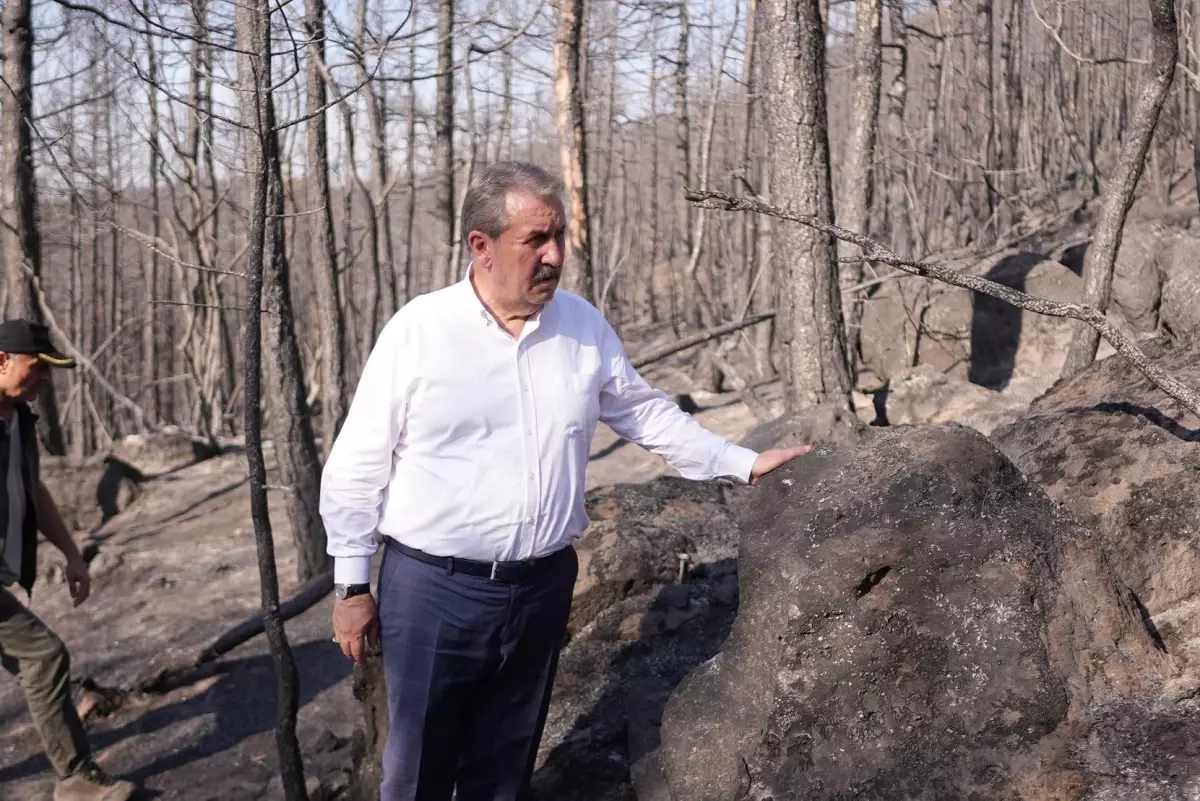 Destici: Orman yangınlarını bile isteye çıkaranlar en ağır cezaya çarptırılsın