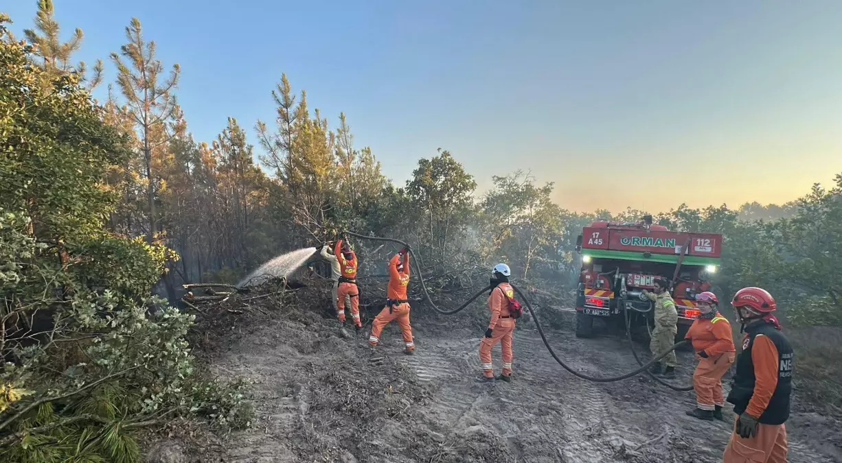 Edirne Enez'de Orman Yangını Kontrol Altına Alındı