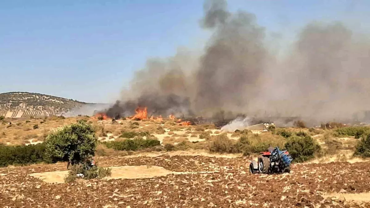 Çanakkale'de Orman Yangını Kontrol Altına Alındı