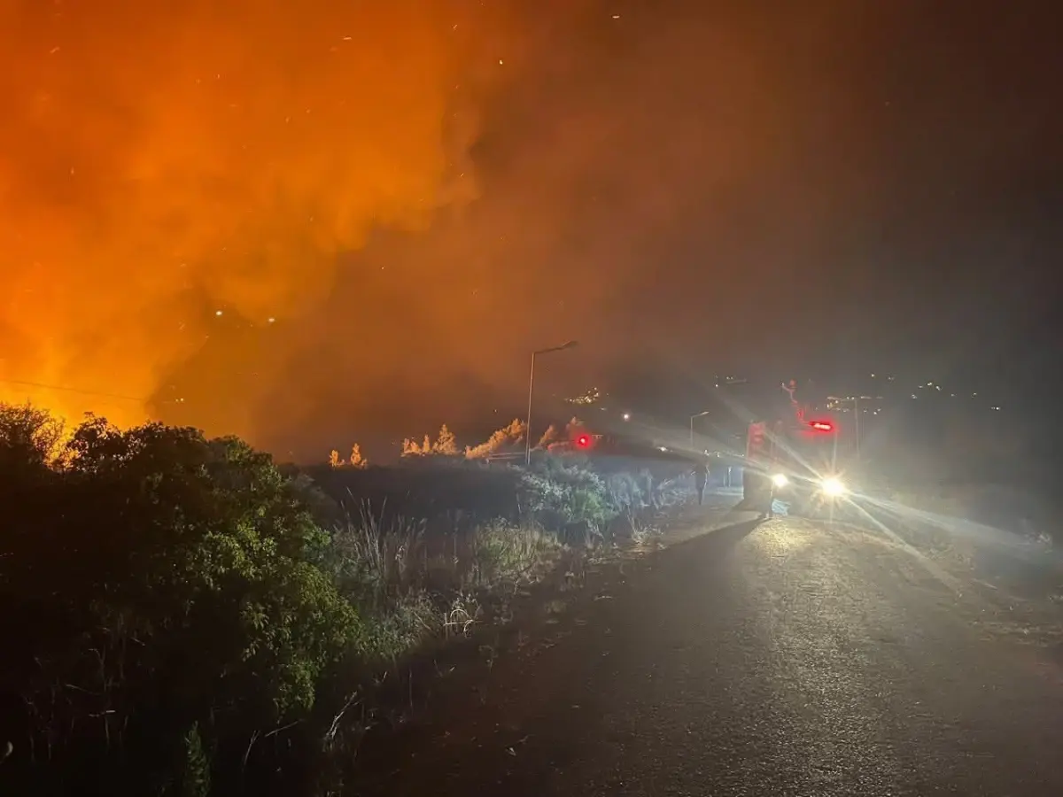 Yayladağı'nda Orman Yangını Sürüyor