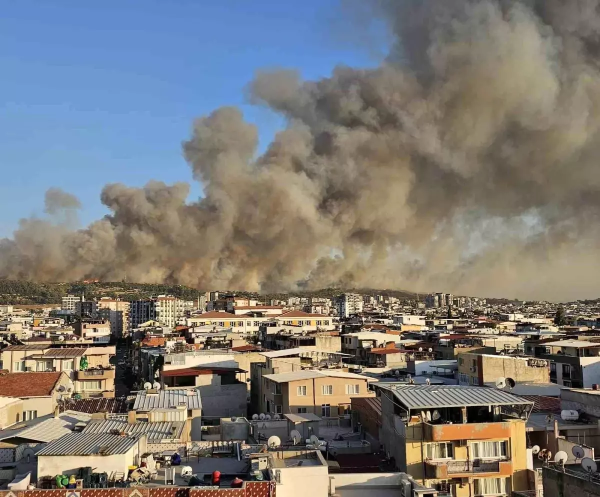 İzmir Buca'da Orman Yangını: Müdahale Devam Ediyor