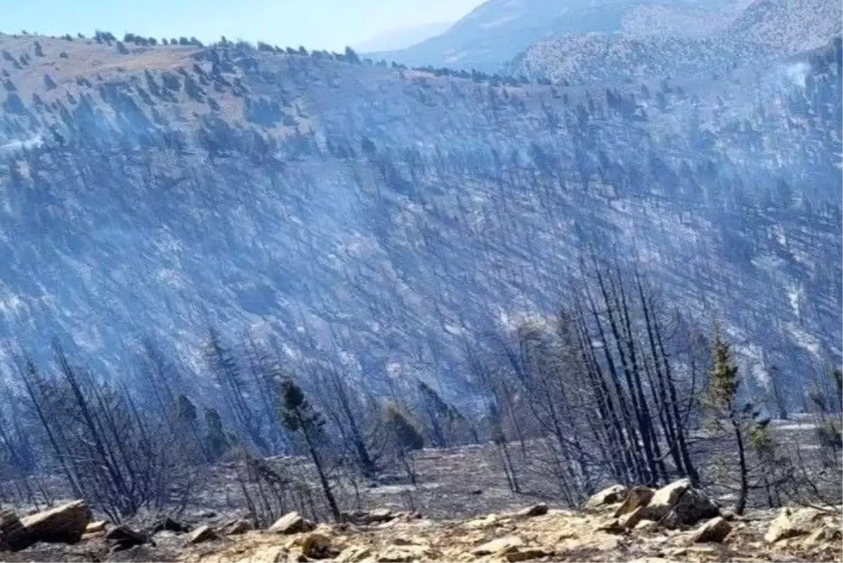 Kahramanmaraş'ın Göksun ilçesinde yangın söndürme çalışmaları sürüyor