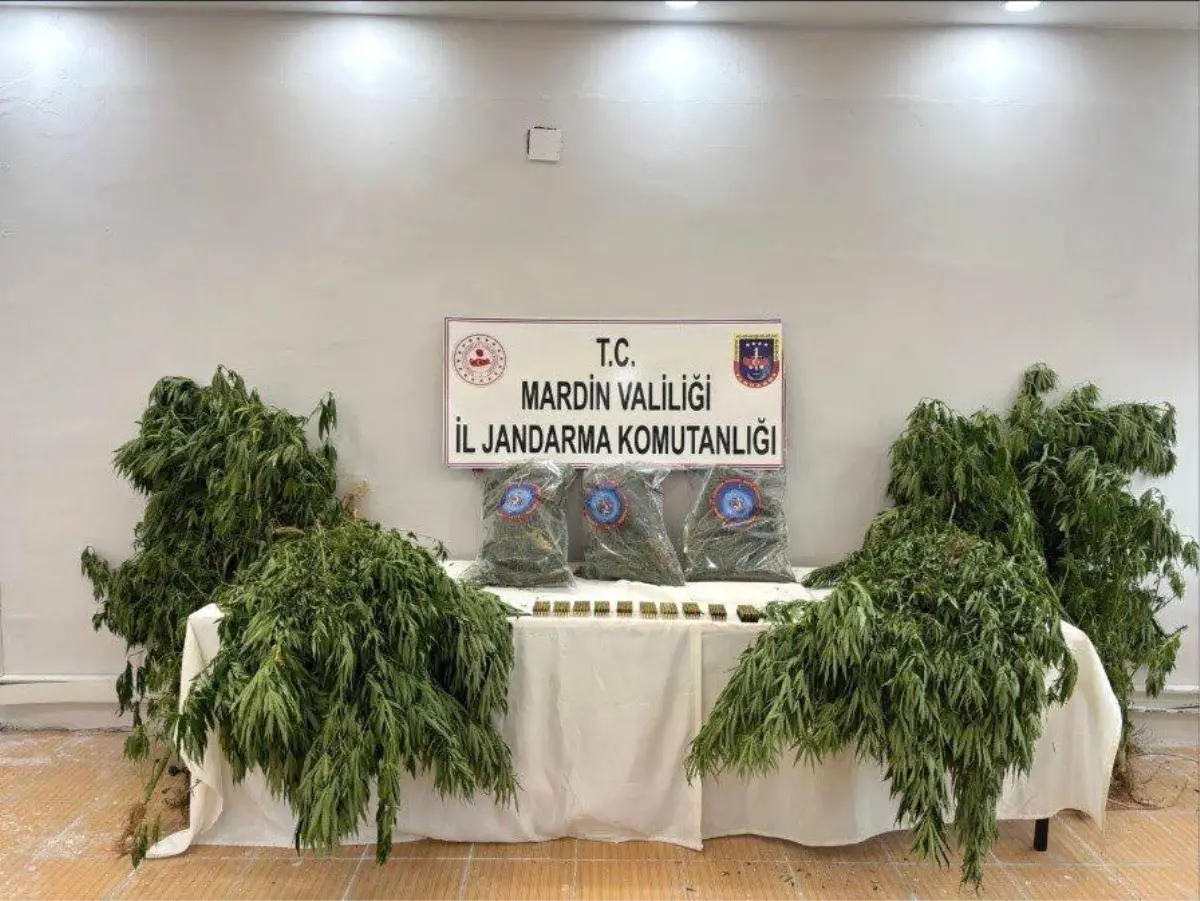 Mardin Derik'te Uyuşturucu Operasyonu: 1 Tutuklama