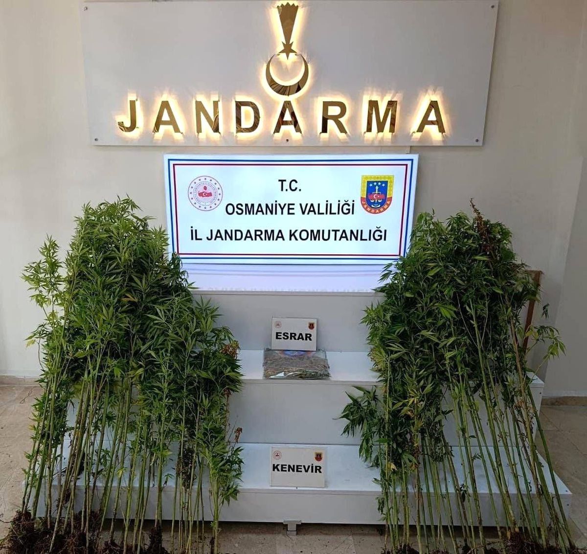 Osmaniye'de Jandarma Operasyonlarında 121 Şüpheli Gözaltına Alındı