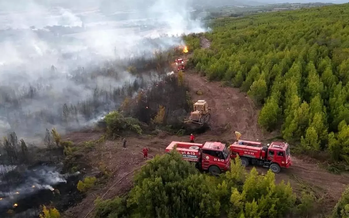 Osmaniye'de Anız Yangını Kontrol Altına Alındı