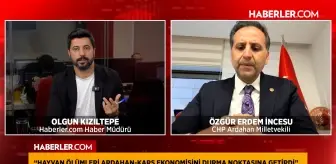 Özgür Erdem İncesu: Ardahan-Kars bölgesi hayvancılıkta afet bölgesi ilan edilmeli