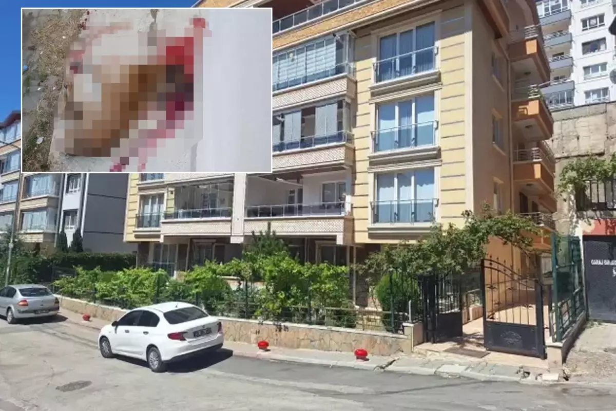 Polis memuru sokak köpeğini vurarak öldürdü