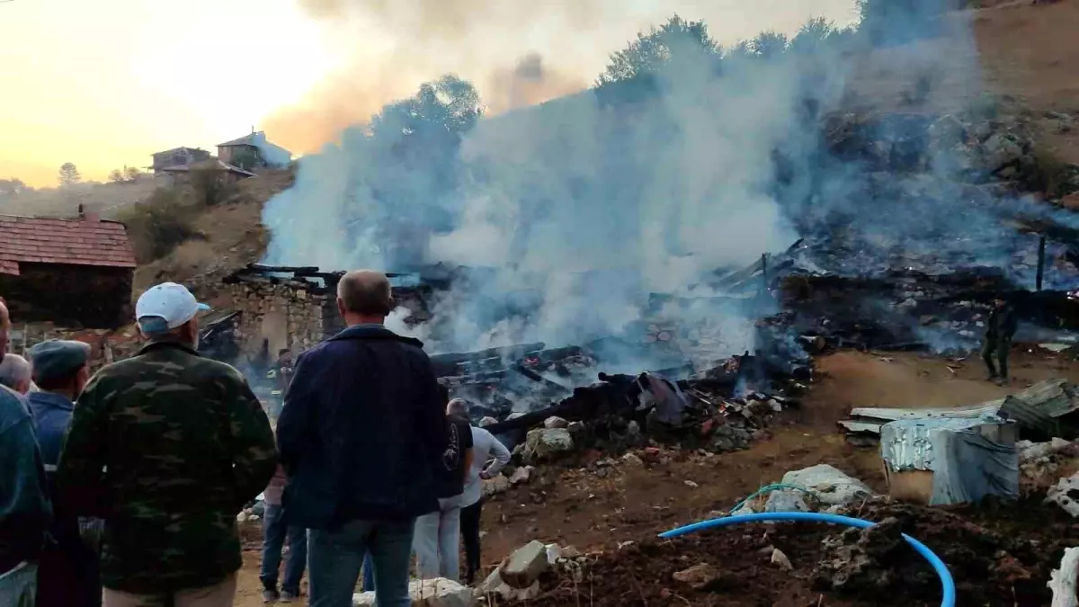 Sinop'ta Yangın: 2 Ev ve 2 Ahır Küller İçinde