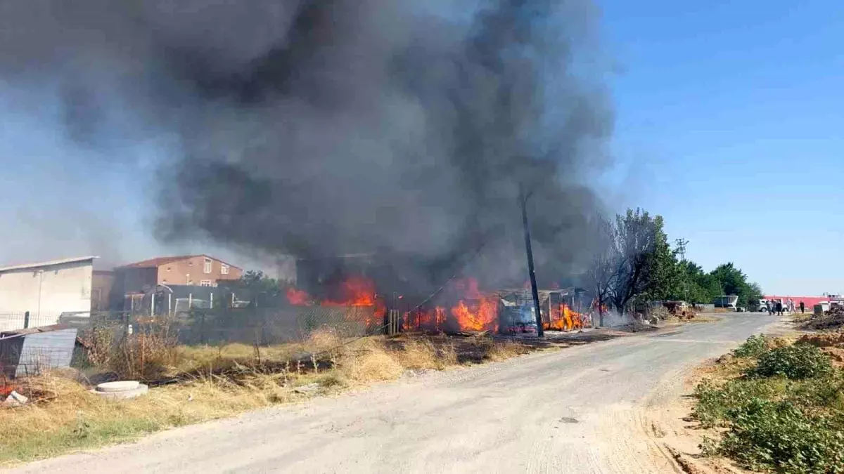 Tekirdağ'da Çiftlikte Yangın: Maddi Hasar Büyüdü
