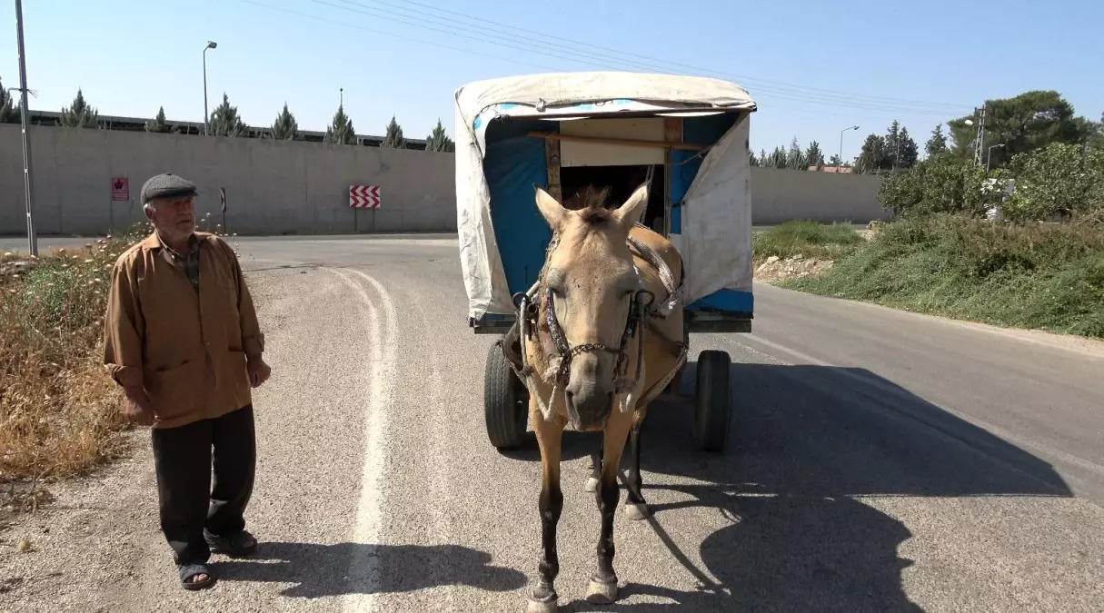 Kilis'te Unutulmaya Yüz Tutan Çerçilik Mesleği: Ramazan Doğan'ın Hikayesi