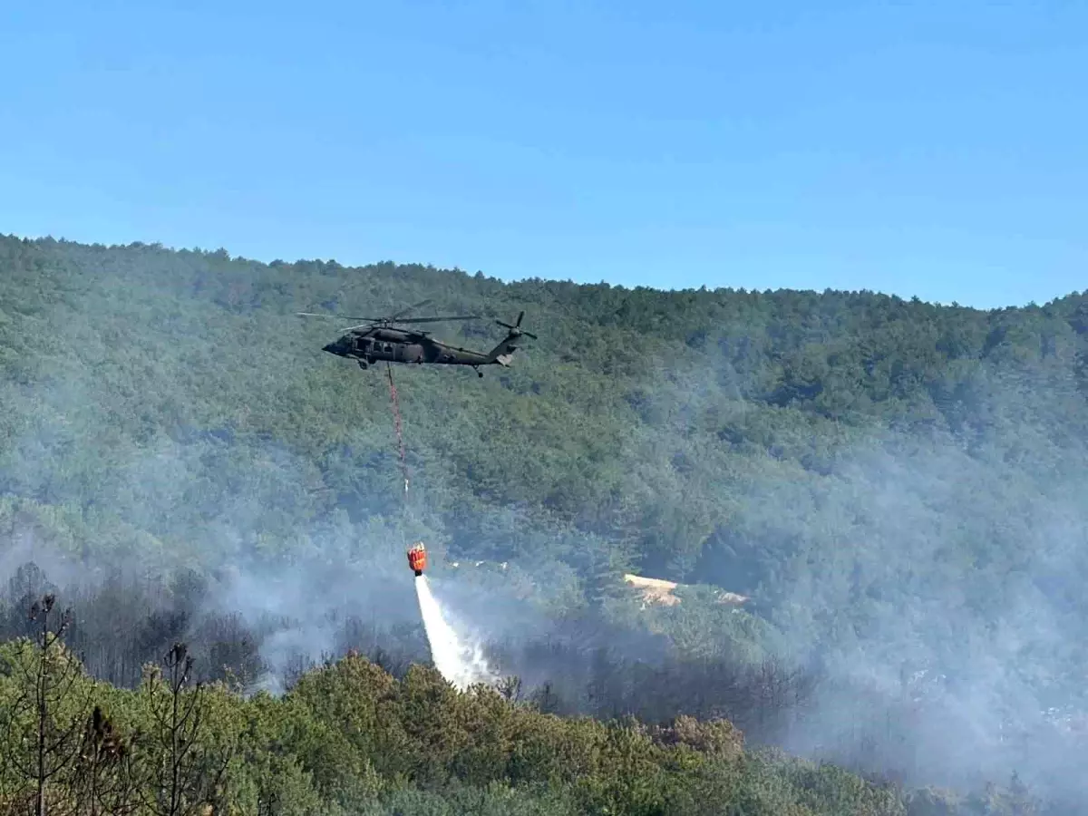 Uşak'ta Orman Yangını: Müdahale Devam Ediyor