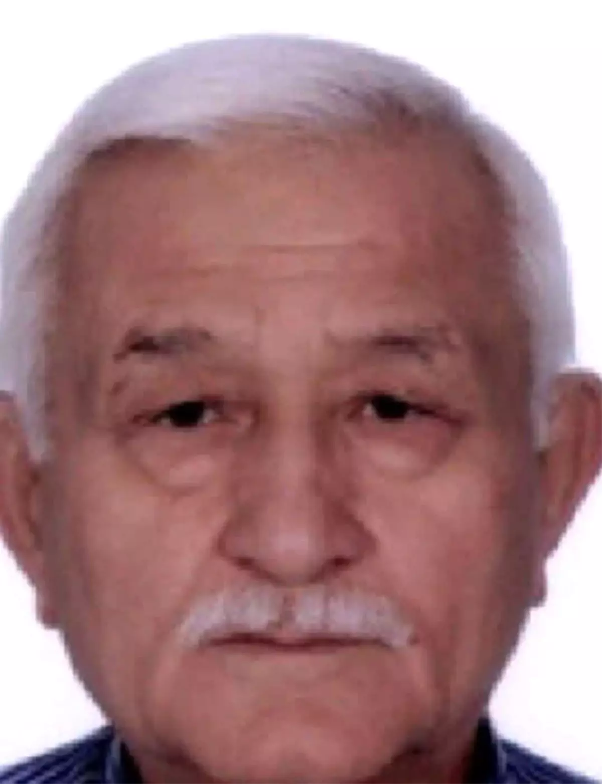 Kaybolan Şahıs Ormanlık Alanda Ölü Bulundu