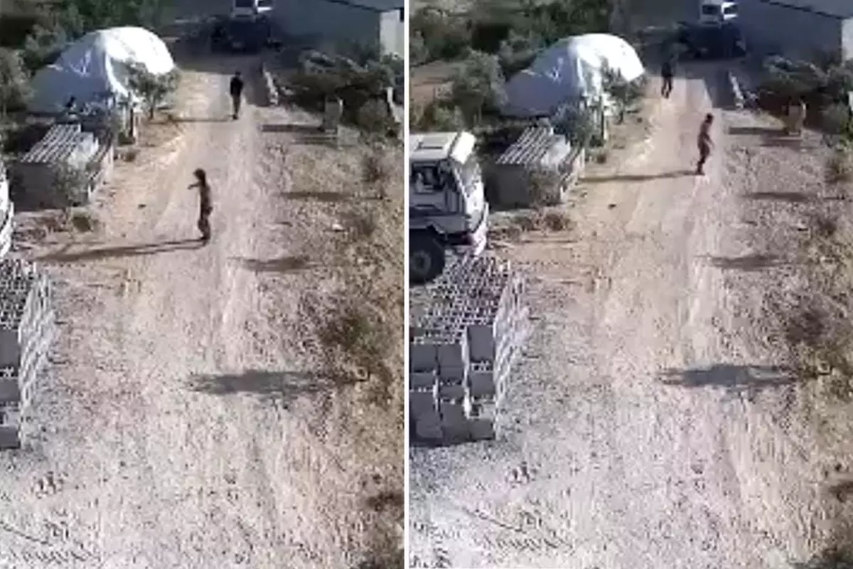 Amca ile yeğenin hayatını kaybettiği silahlı kavga kamerada
