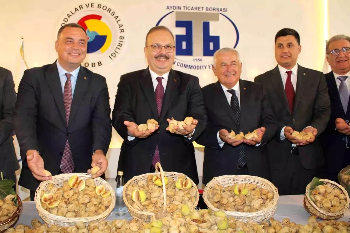 Aydın'da Kuru İncir Sezonu Başladı: İlk Ürün 800 TL'den Satıldı