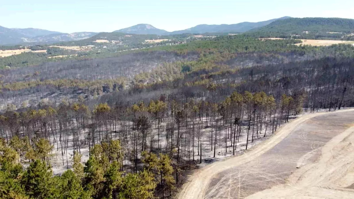 Mudurnu'da Biçerdöver Yangına Sebep Oldu, 1 Kişi Tutuklandı