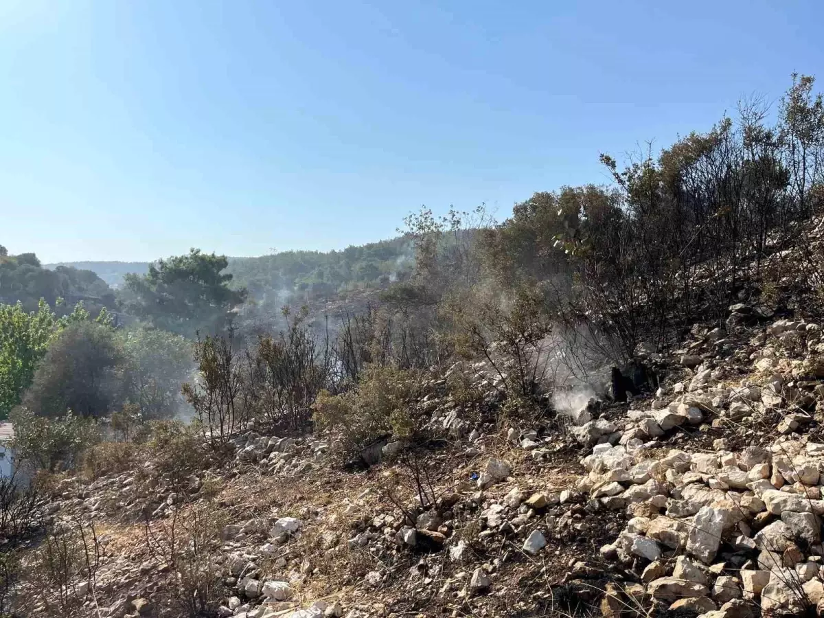İzmir'de Orman Yangını Kontrol Altına Alındı
