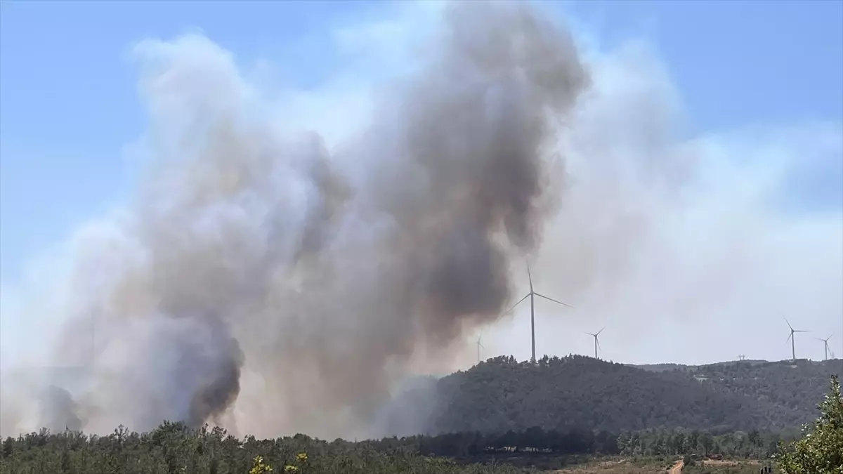 Çanakkale'de yine orman yangını! Kaz Dağları tehdit altında