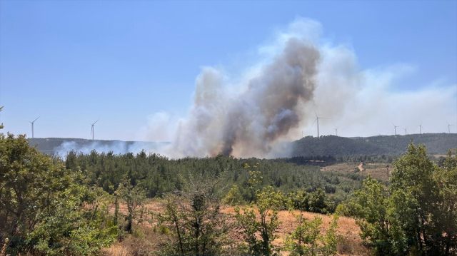 canakkale de yine orman yangini kazdaglari 18943334 6430 m