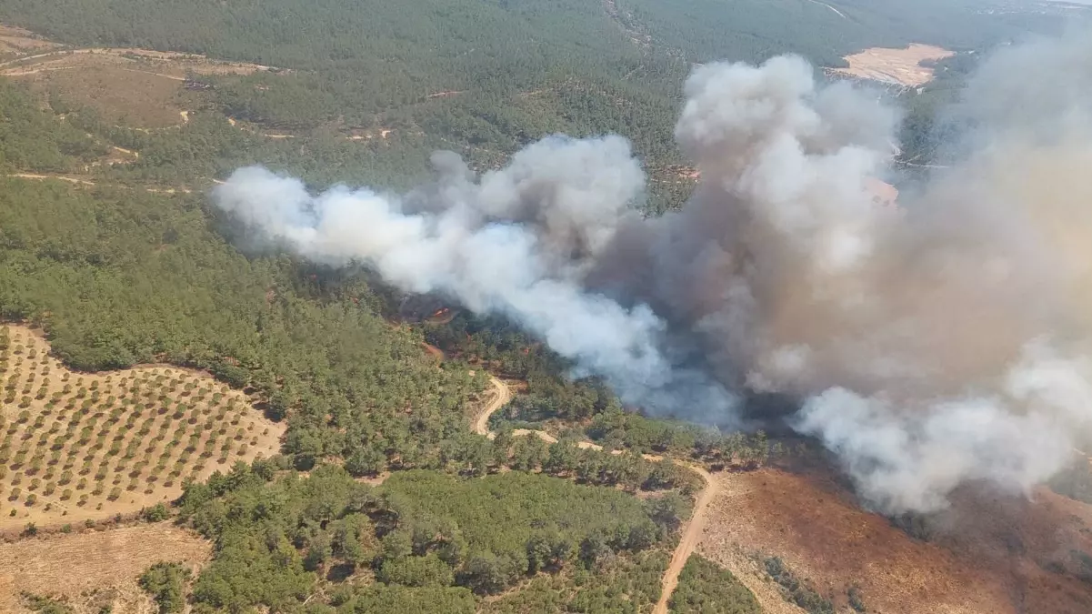 Çanakkale'de Orman Yangınına Havadan ve Karadan Müdahale