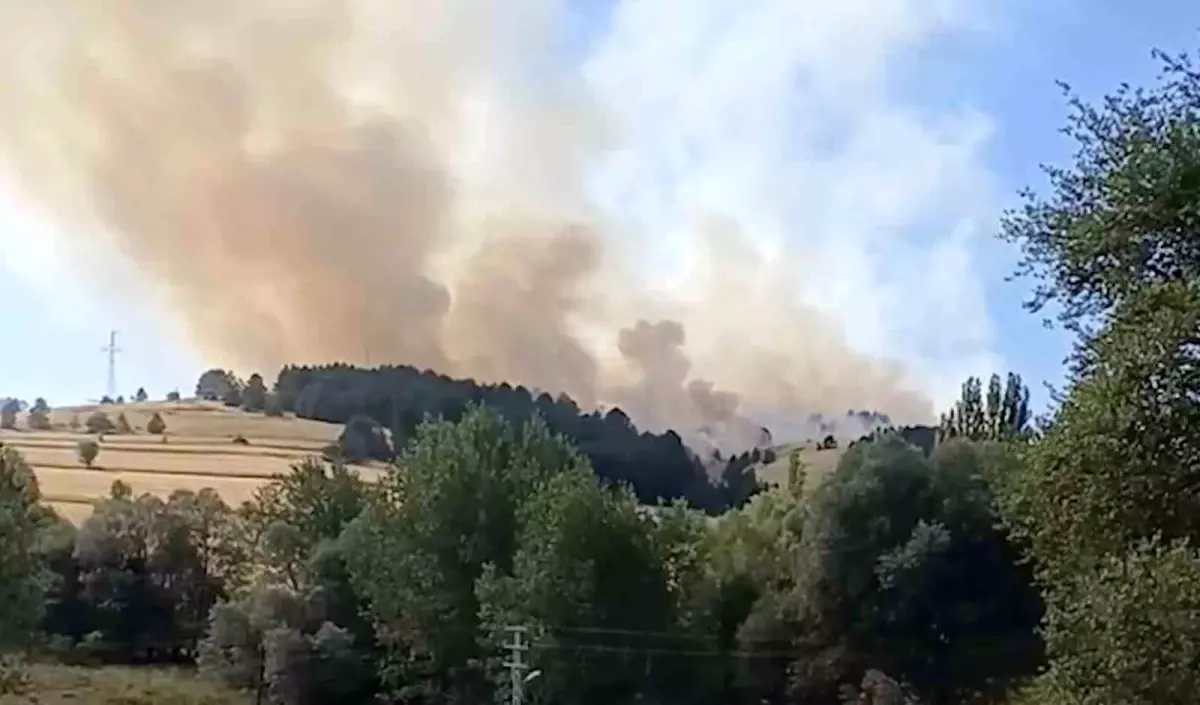 Çankırı'da Orman Yangını Çıktı
