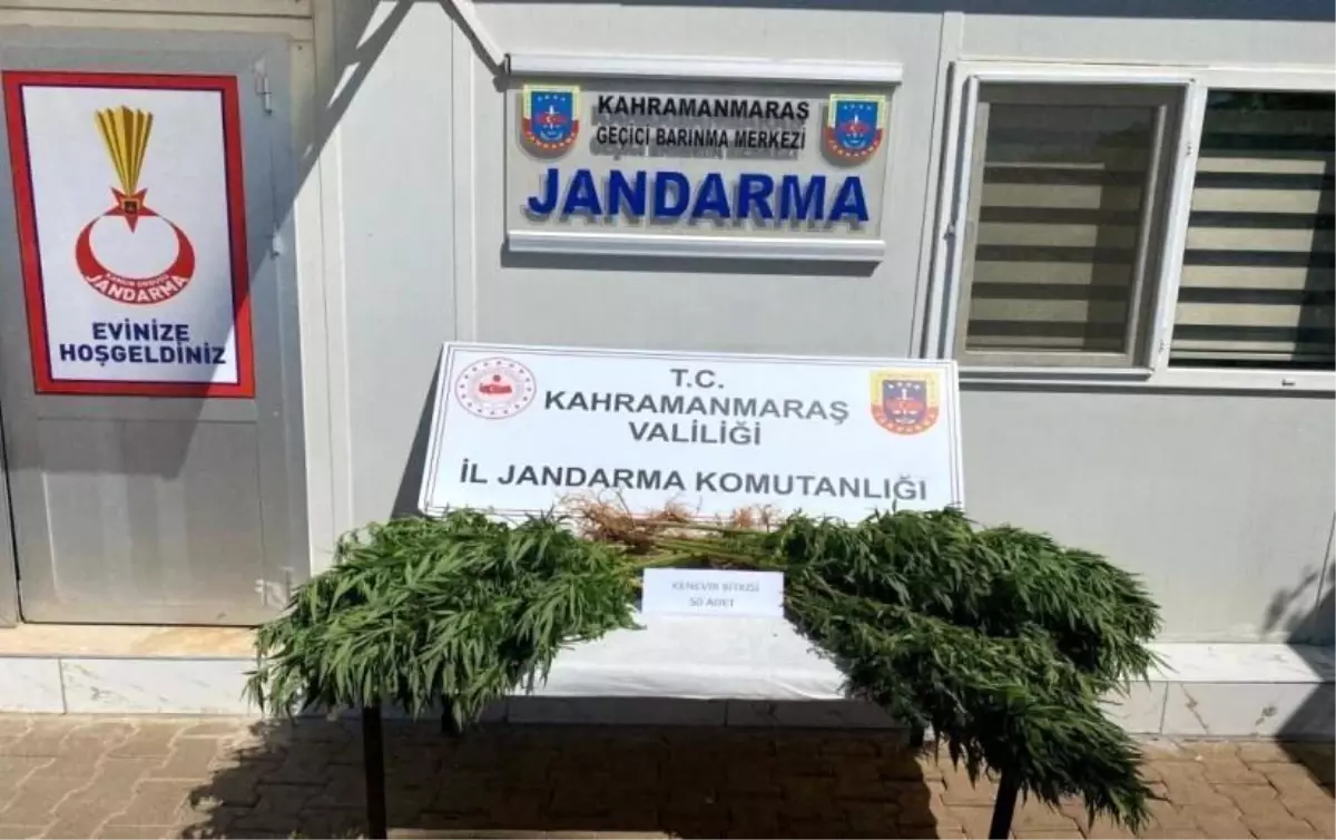 Kahramanmaraş'ta Jandarma Operasyonunda 14 Tutuklama