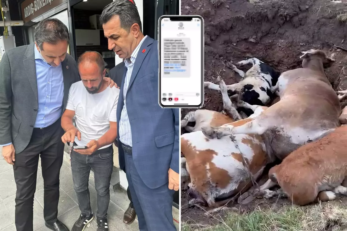 CHP'li Özgür Erdem İncesu'dan bomba iddia: Yapılmayan şap aşısının parasını istiyorlar
