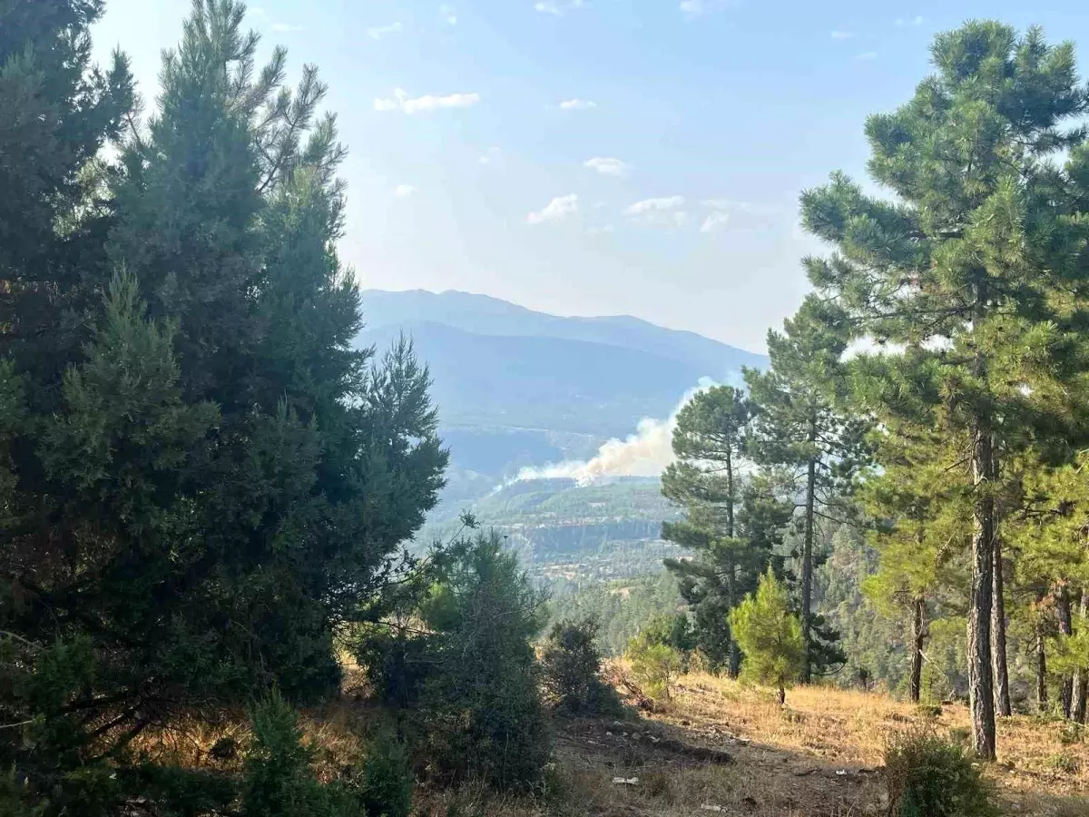 Denizli'de Orman Yangınına Hızla Müdahale Ediliyor