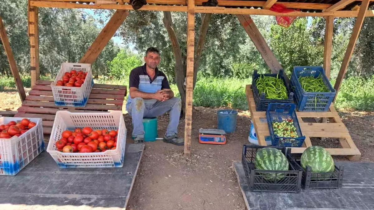Bursa'da Duyarlı Vatandaşın Sebze-Meyve Alışverişi Takdir Topladı