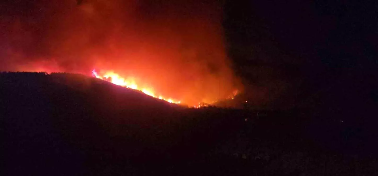 Hatay'da Orman Yangını, Evler Tahliye Ediliyor